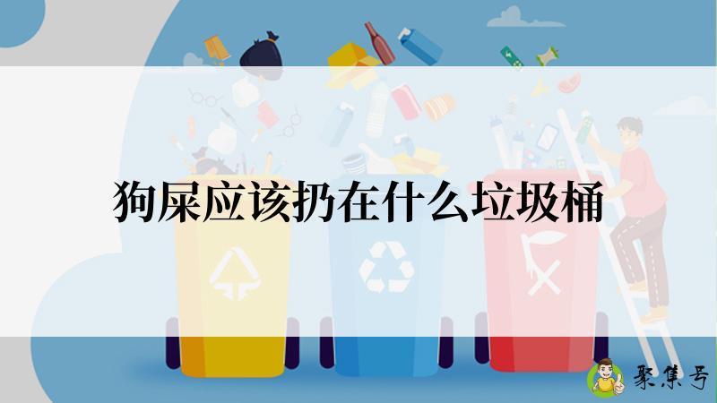 狗屎应该扔在什么垃圾桶