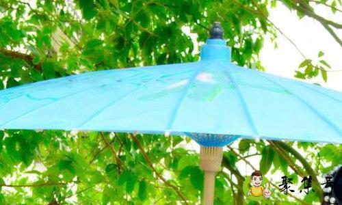 榄仁叶一般泡多久