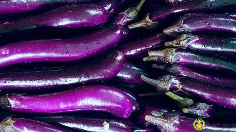 立秋吃什么食物