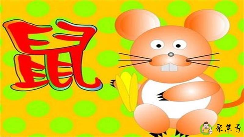 十鼠九贵什么意思