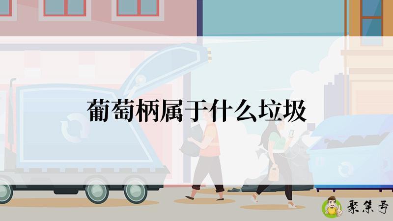 葡萄柄属于什么垃圾