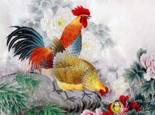 红头绿尾是什么生肖