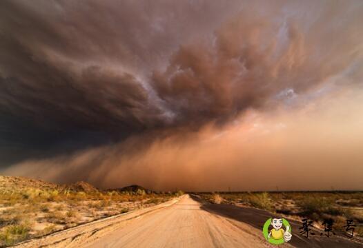 扬尘和沙尘暴的区别