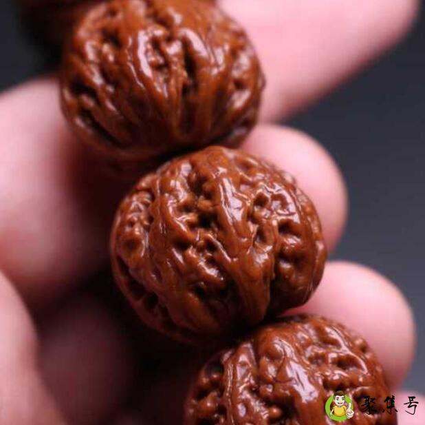 秋子跟京八棱区别