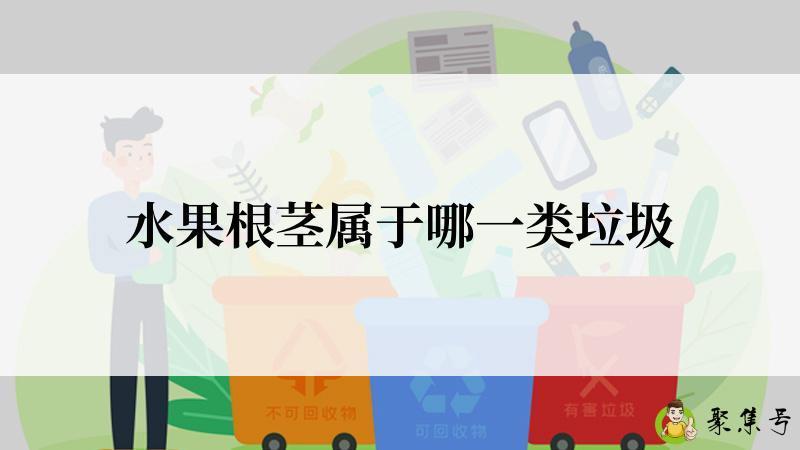 水果根茎属于哪一类垃圾