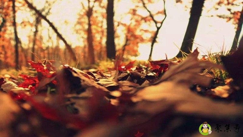 穷极所思不负千里什么意思