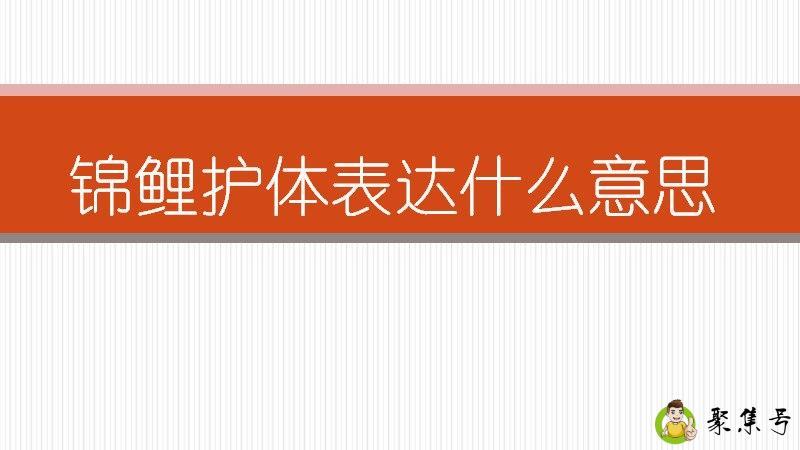 锦鲤护体表达什么意思