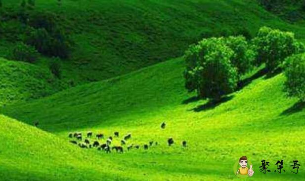 知我者,谓我心忧什么意思