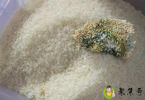 发霉的大米煮熟能吃吗