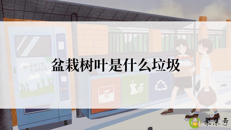 盆栽树叶是什么垃圾