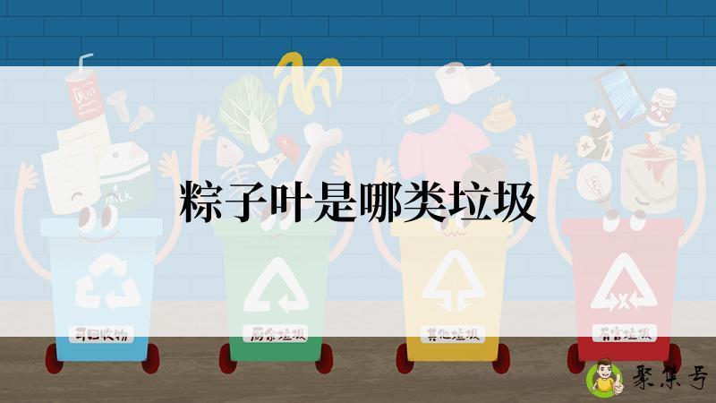 粽子叶是哪类垃圾