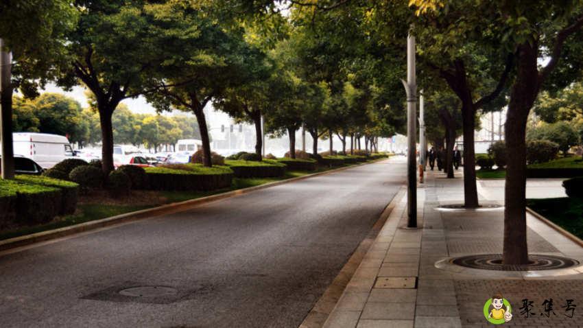 上海世纪大道属于哪个区