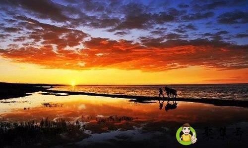 抵不过什么意思