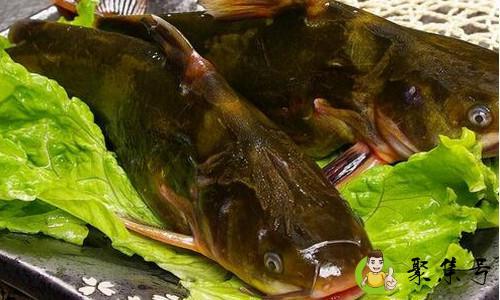 嘎鱼身上的黄怎么清理