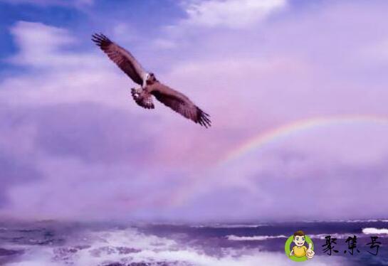 立志和敢愿的区别