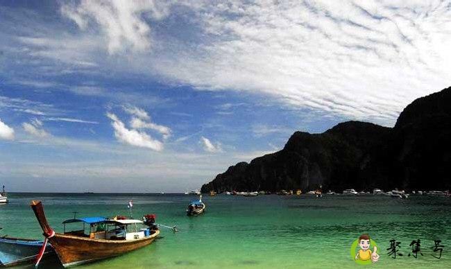 为什么深圳是蟑螂之乡