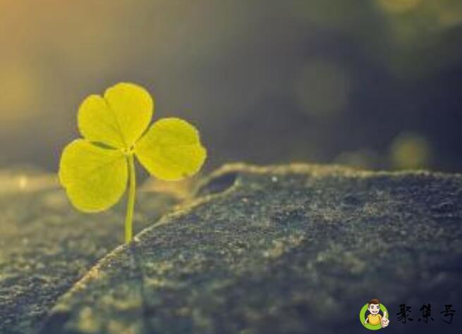 2016年的234月一共有多少天