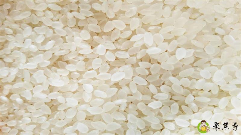 丝苗米和东北米的区别