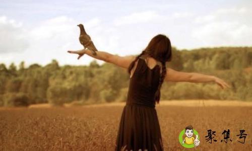 外貌和肖像有什么区别