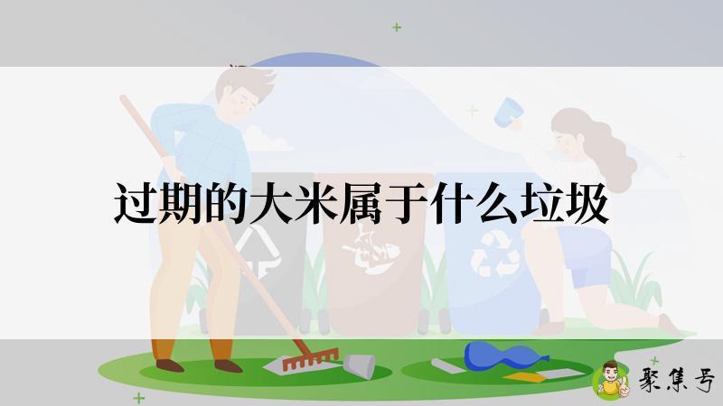 过期的大米属于什么垃圾