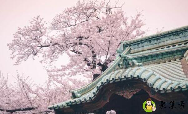 良辰美景奈何天什么意思