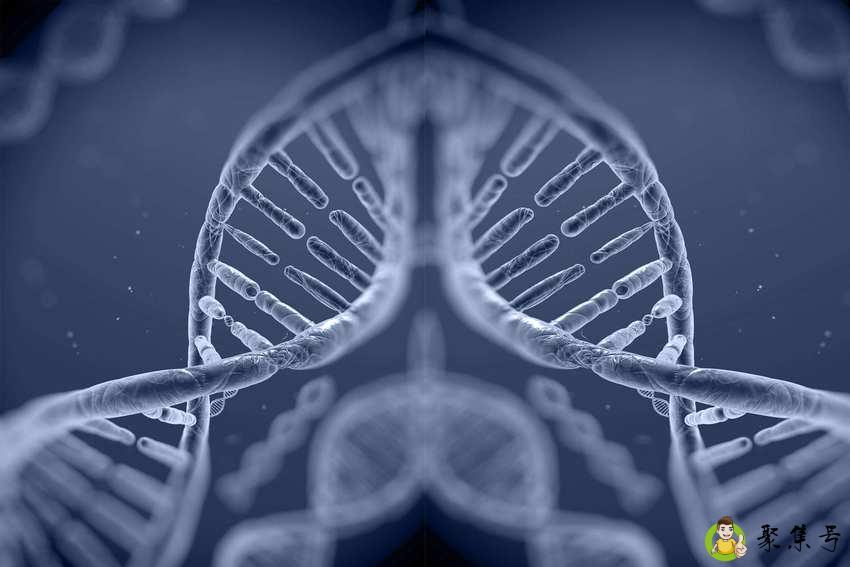 染色体微阵列是查啥的