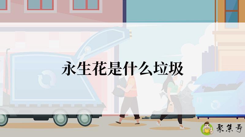 永生花是什么垃圾