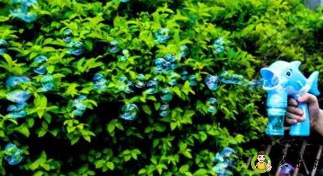 泡泡浓缩液的使用方法