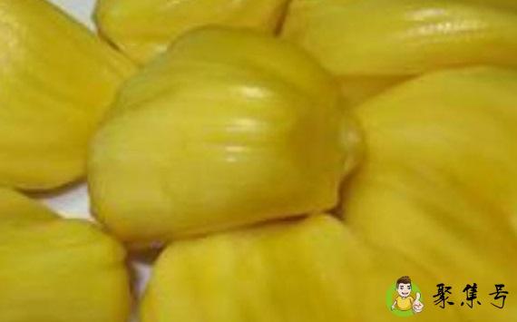 菠萝蜜和榴莲哪个贵