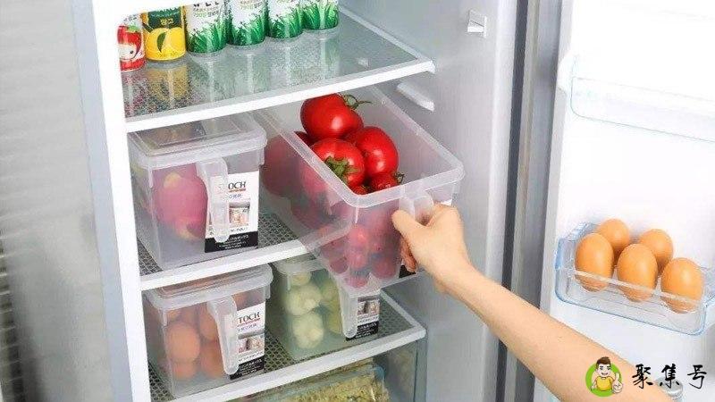 Fridge什么意思