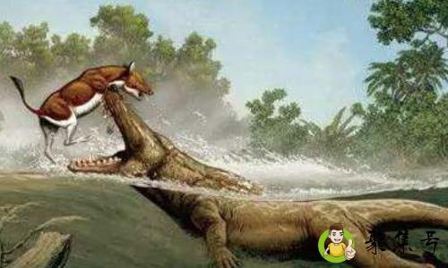 喜欢恐龙的孩子性格是怎样的