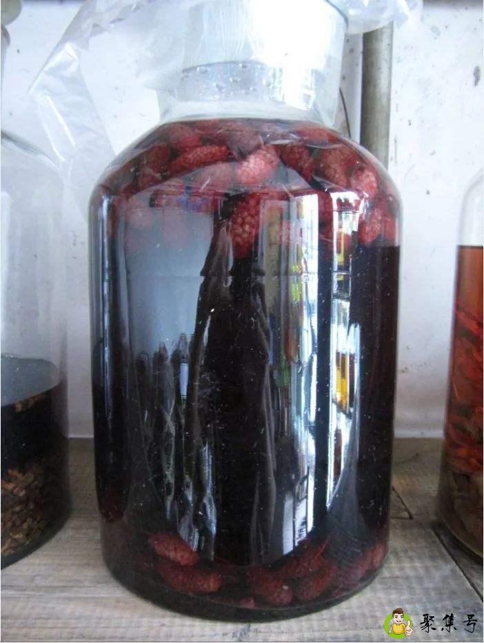 桑椹泡酒用干的还是鲜的