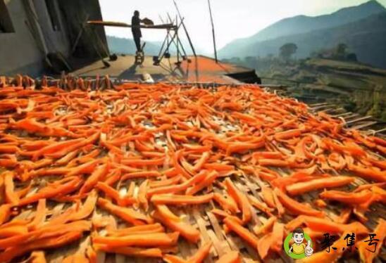 红薯干晒的软的技巧