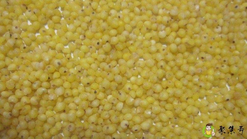 黍子和糜子的区别