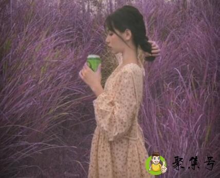 智者不入爱河冤种重蹈覆辙什么意思