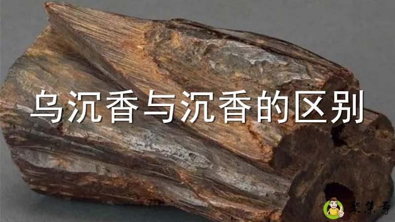 乌沉香与沉香的区别