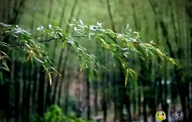 劲松长青,翠竹永节是什么意思