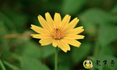 一花一世界一叶一乾坤是什么意思