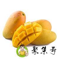 海南芒果上市时间是什么时候