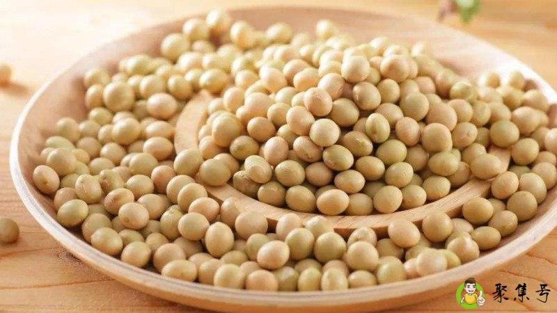 黄豆不泡可以直接煮吗