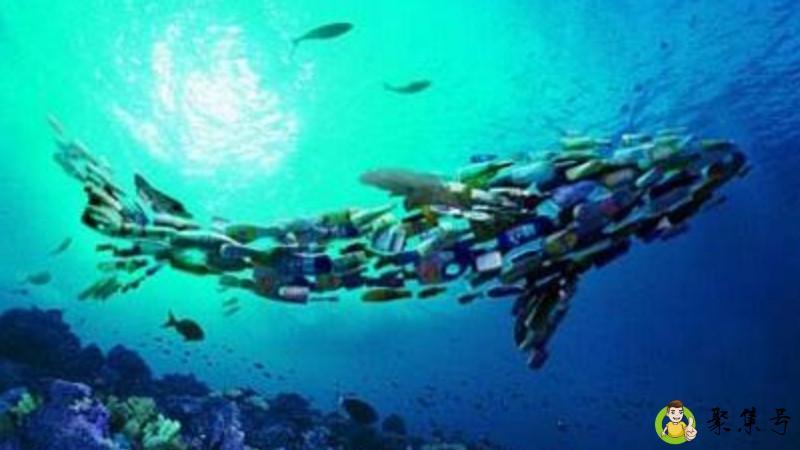 海洋污染的危害