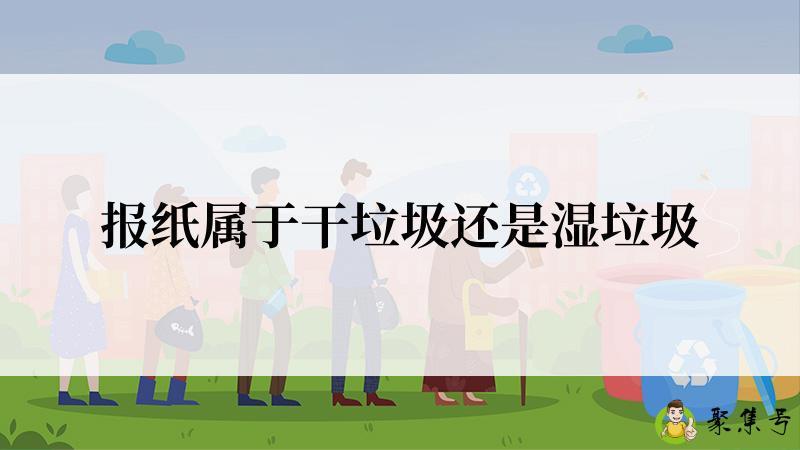 报纸属于干垃圾还是湿垃圾