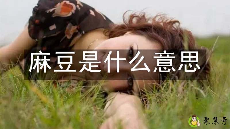 麻豆是什么意思