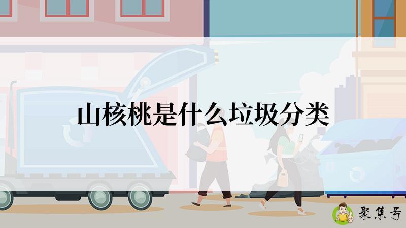 山核桃是什么垃圾分类