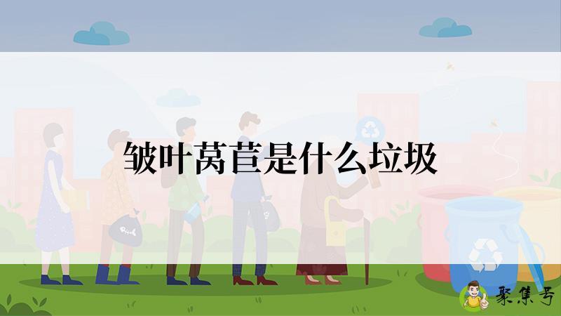 皱叶莴苣是什么垃圾