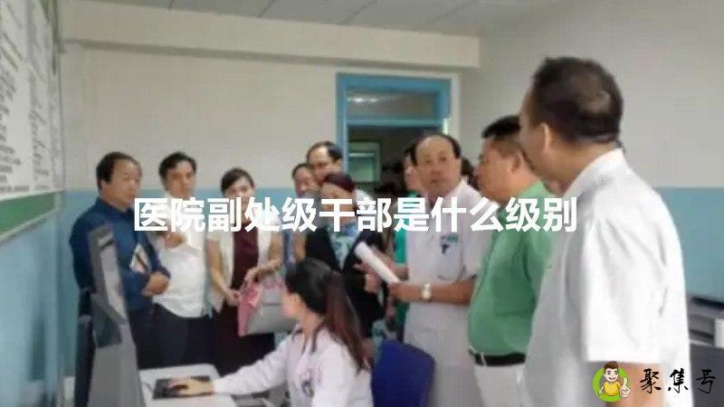 医院副处级干部是什么级别