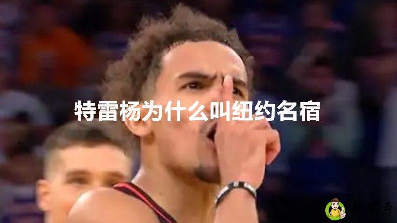 特雷杨为什么叫纽约名宿