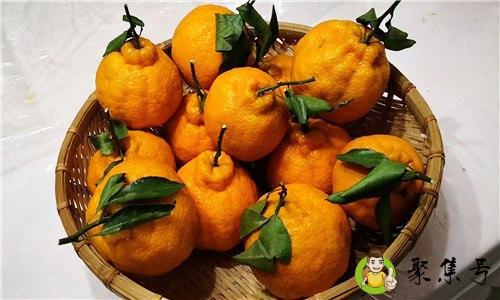 粑粑柑能存放多长时间