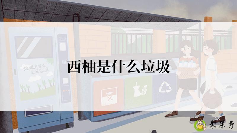 西柚是什么垃圾