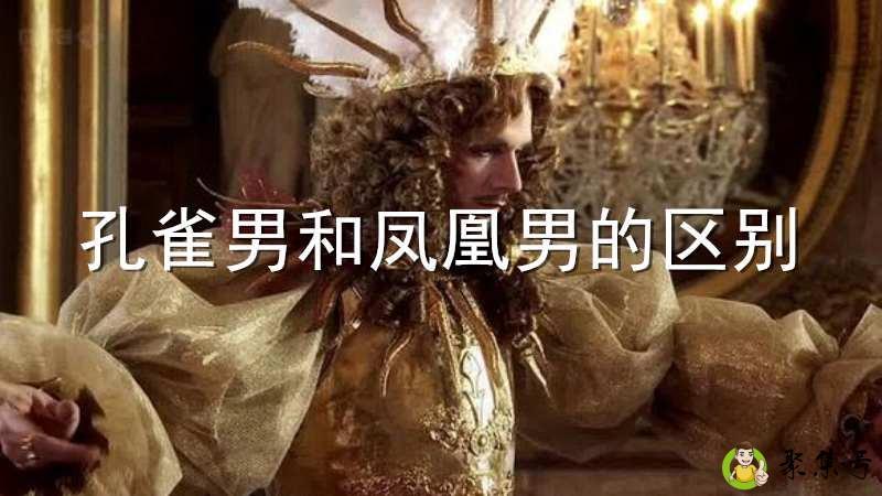 孔雀男和凤凰男的区别